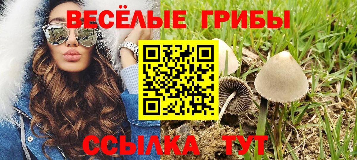 Галлюциногенные грибы прущие грибы Назарово