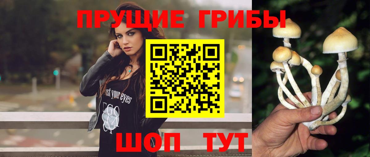 Назарово  где найти   Вход с VPN  Галлюциногенные грибы мицелий 